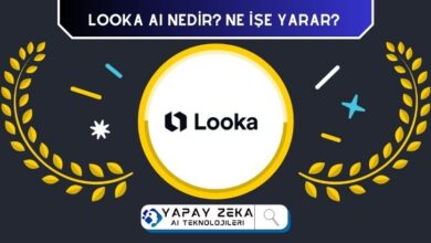 Looka Ai Logo Tasarım Aracı İnceleme ve Analiz