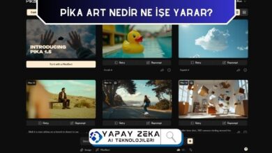 Pika Art Video Oluşturma İnceleme ve Analiz