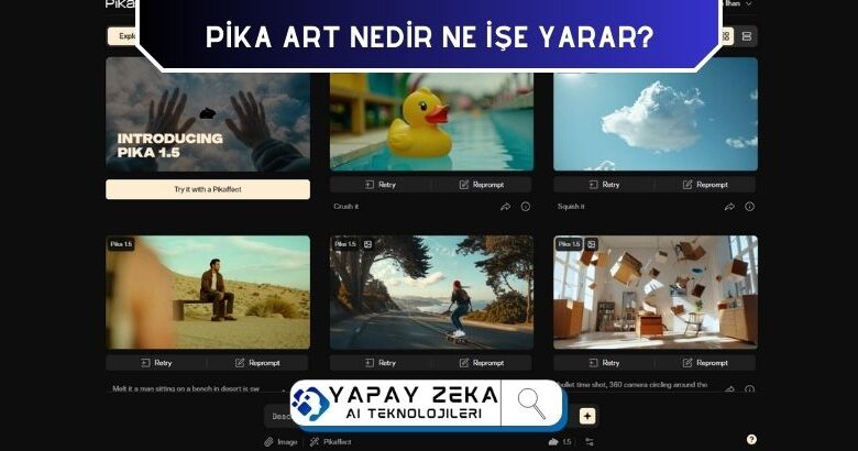 Pika Art Video Oluşturma İnceleme ve Analiz